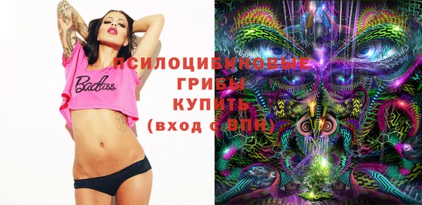 гашиш Новодвинск