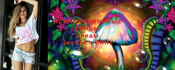 гашиш Новодвинск